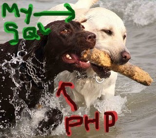 PHP + MySQL = BFF!